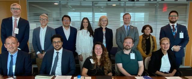 UN Expert Group Meeting